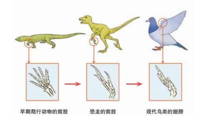 古诗词知识_诗词古吧_诗词知识竞答/